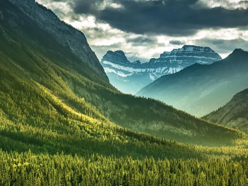 潔福地板哪些產(chǎn)品是最新專(zhuān)利技術(shù)-EVERCARE激光穿