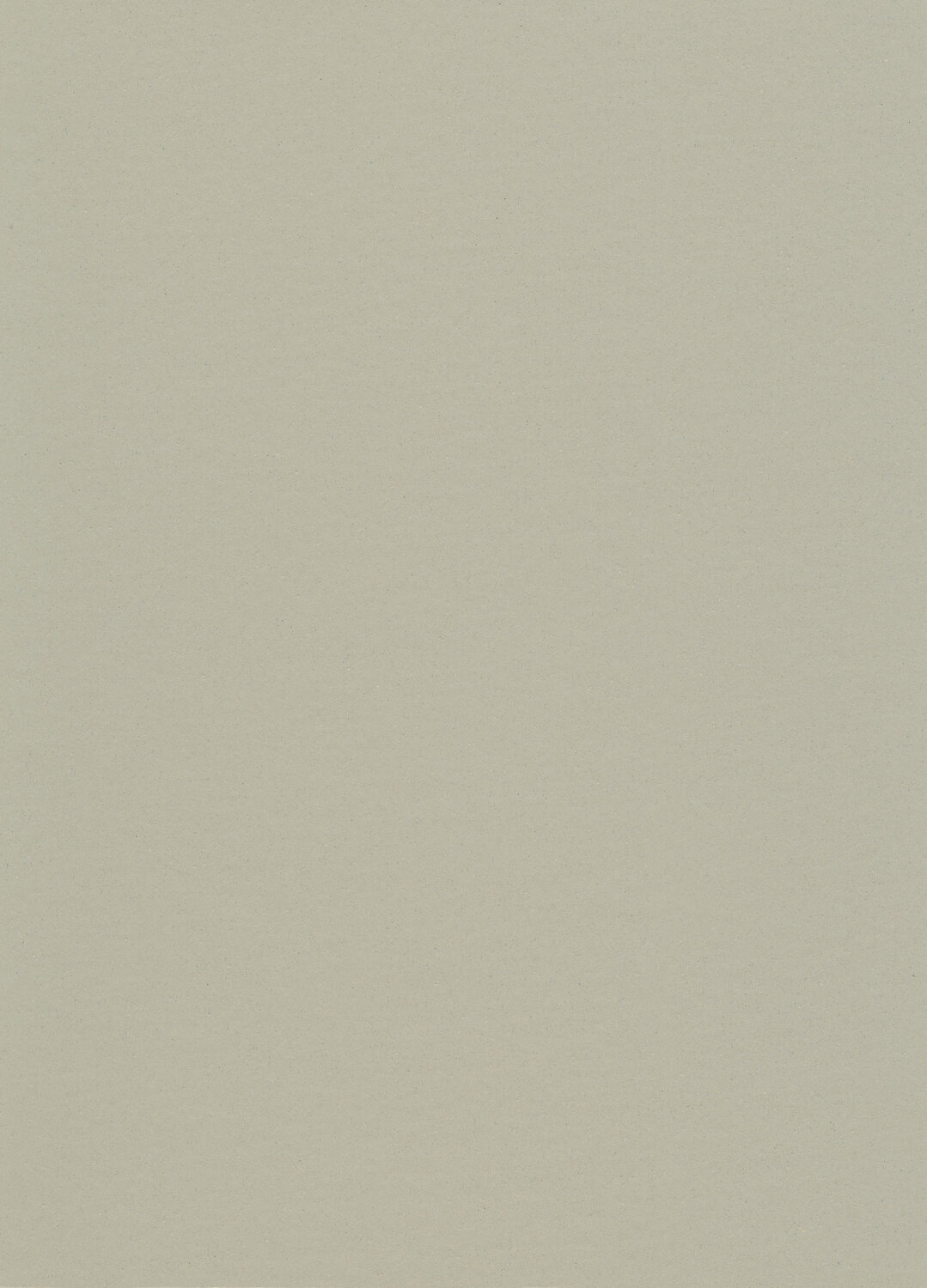 0085 WARM CONCRETE GREY