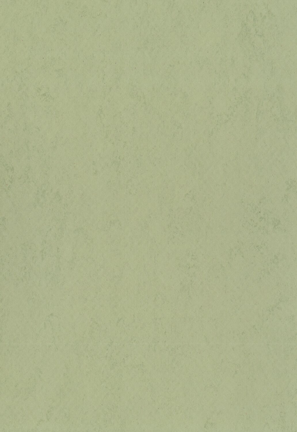 0582 Stalk Green